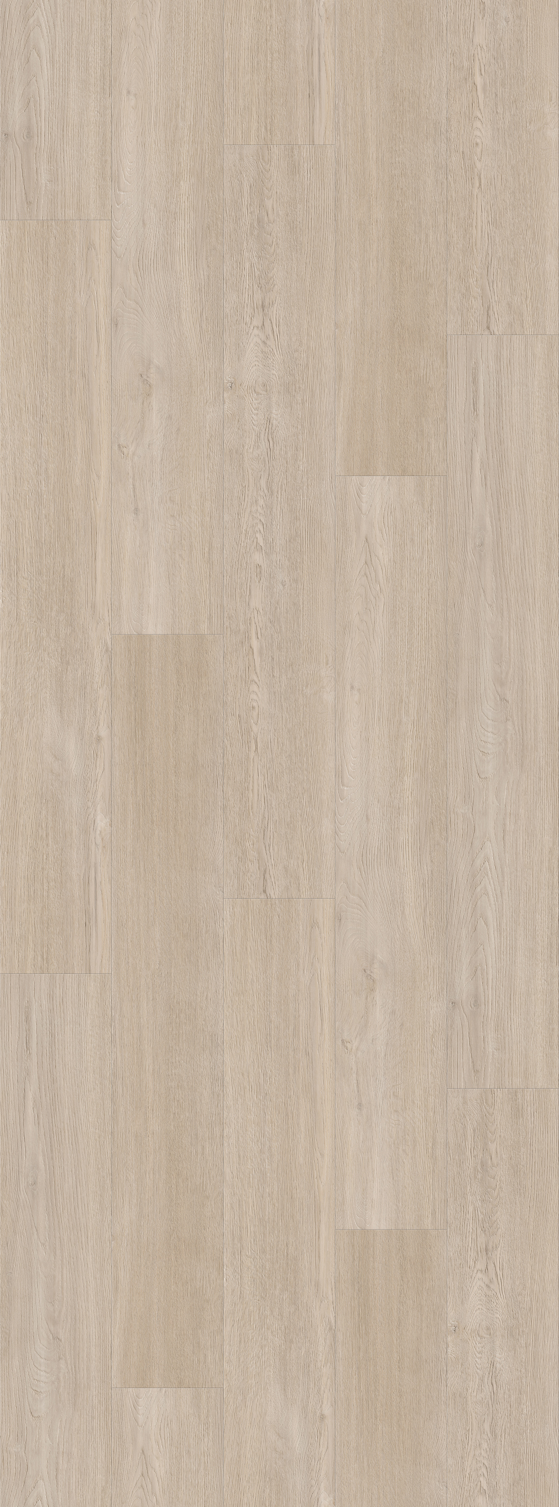 Shore SPC Floor