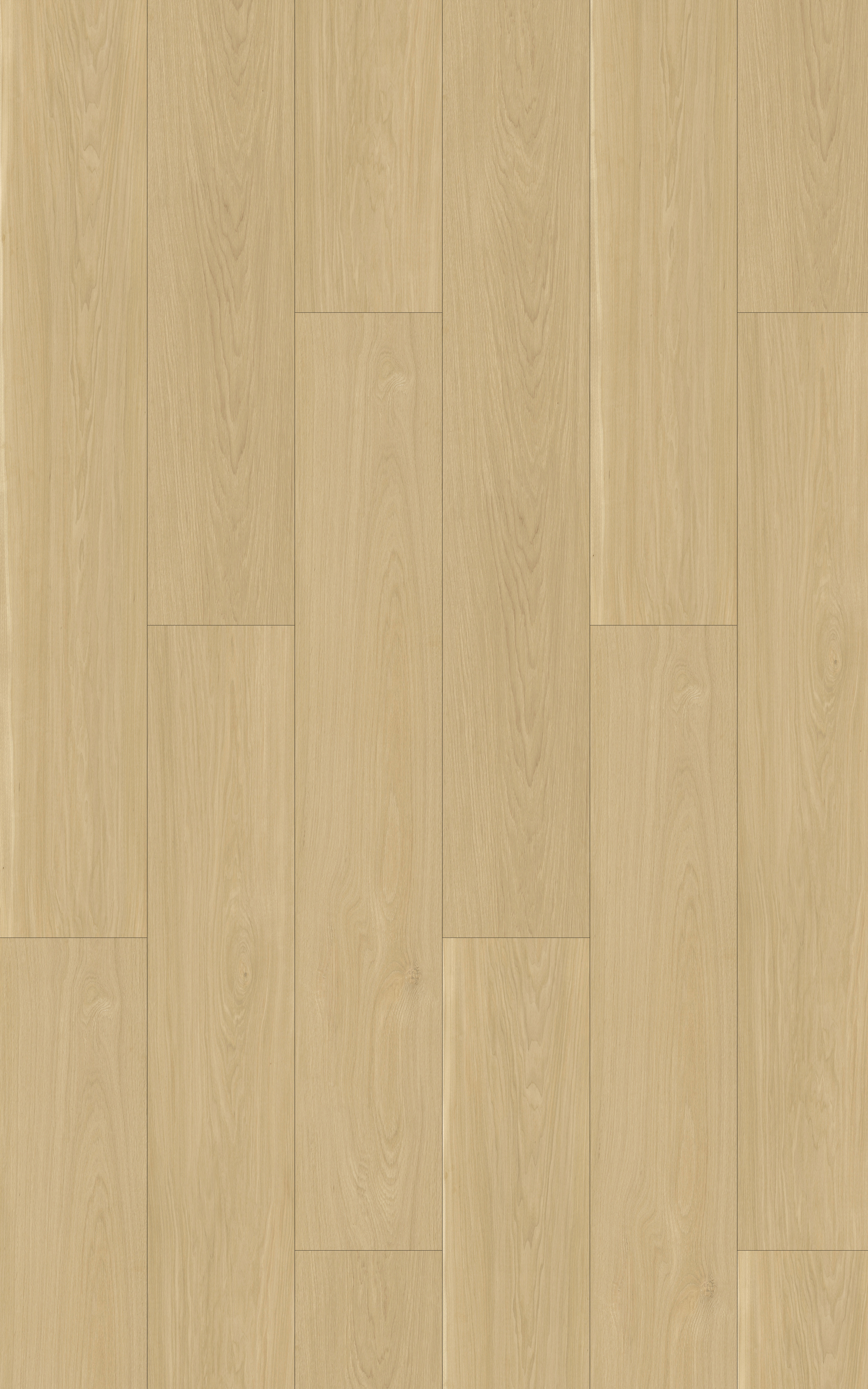 Palea SPC Floor